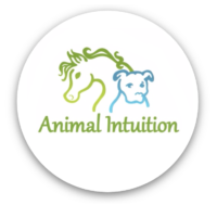 Animal Intuition Exclusives