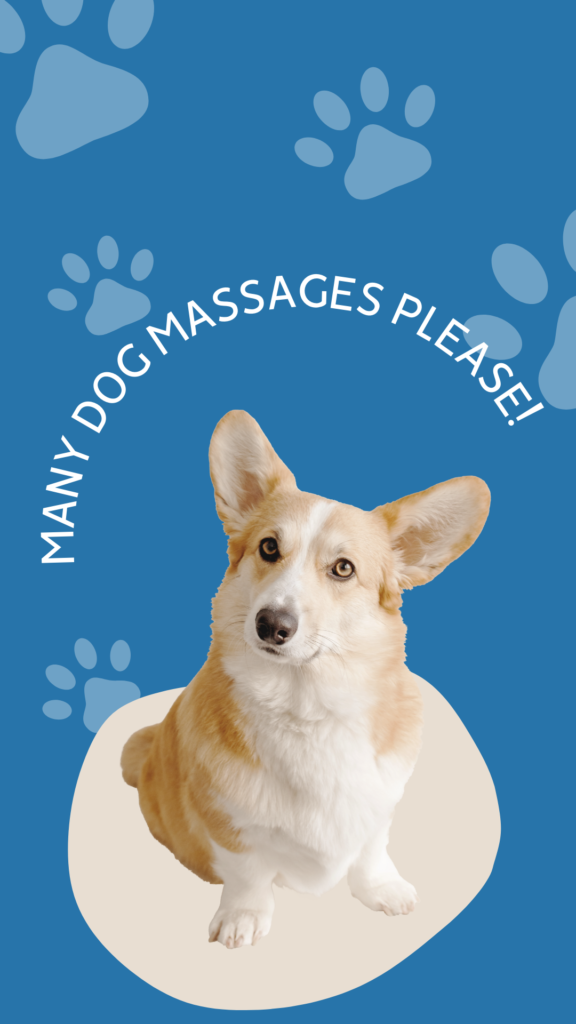 How Often Should My Dog Get Massaged?