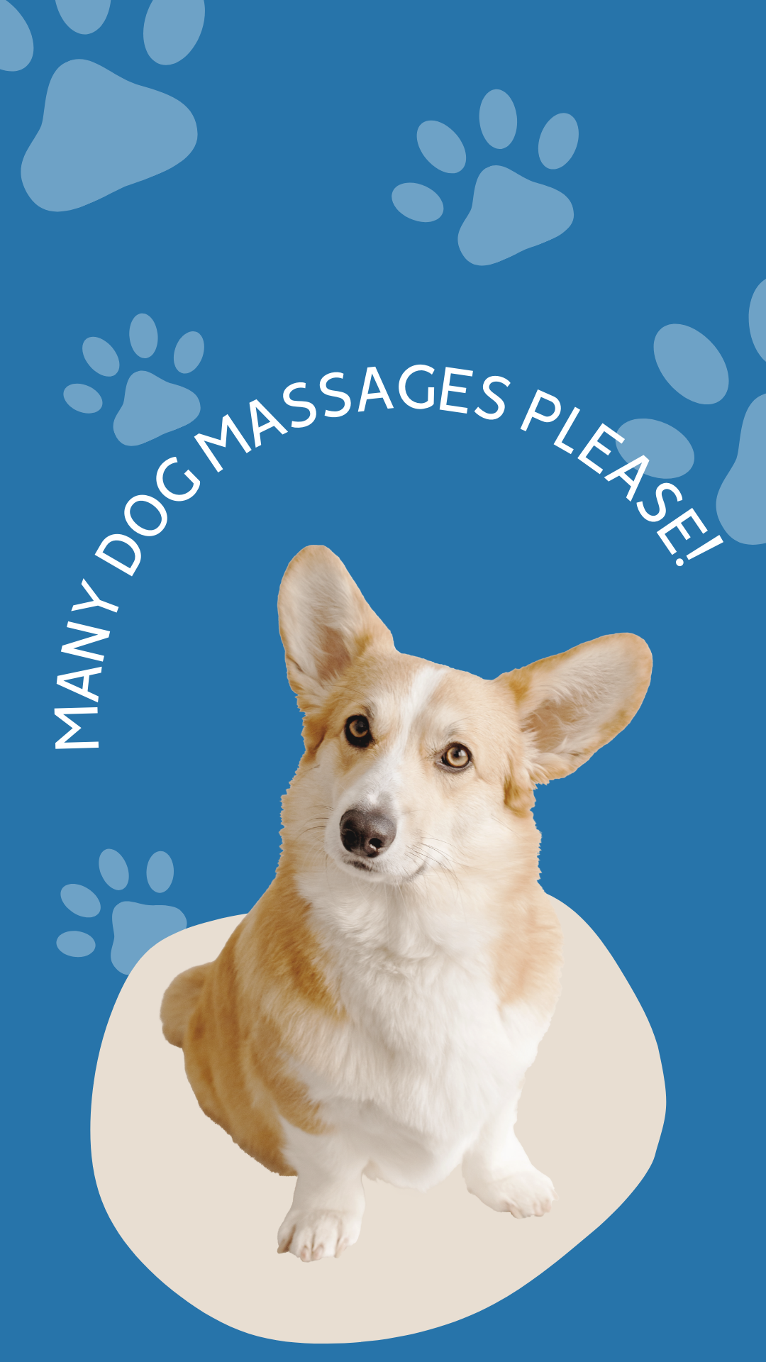 dog massage routine