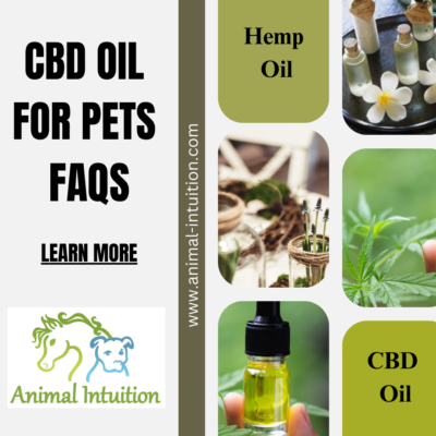 CBD Oil For Pets FAQs