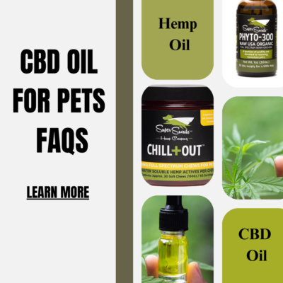 CBD Oil for Pets FAQ
