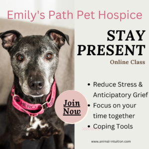 Emily's Path Pet Hospice Stay Present Class