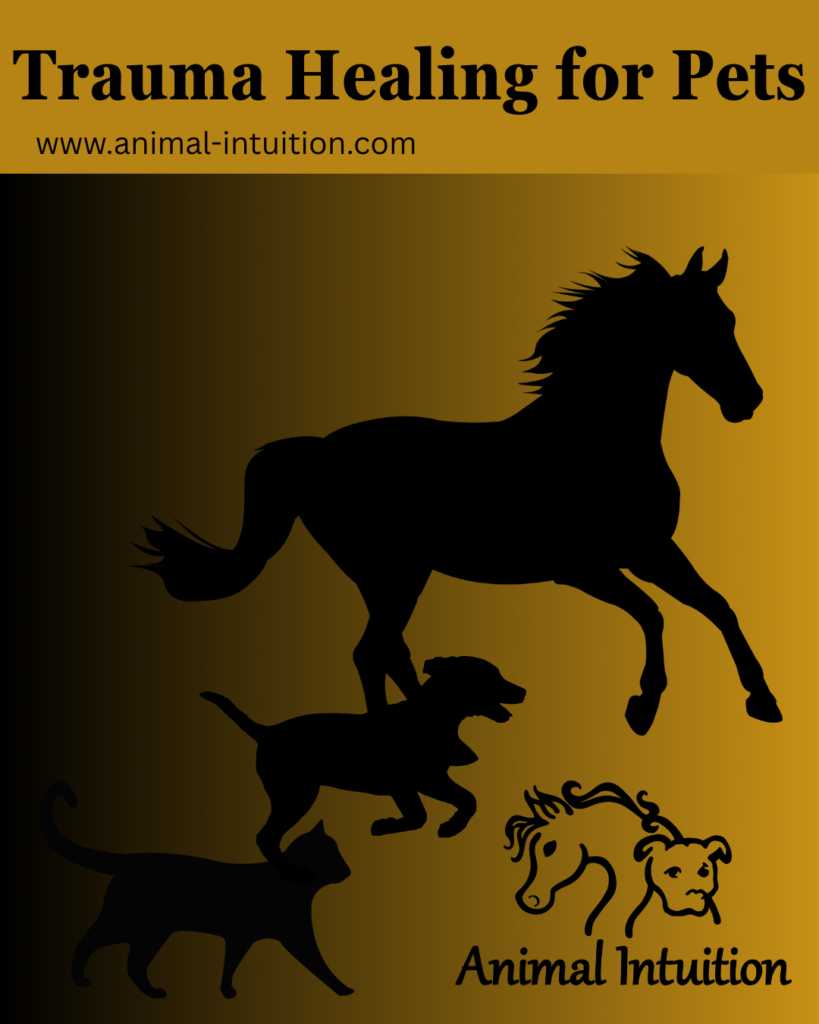 Trauma Healing for Pets