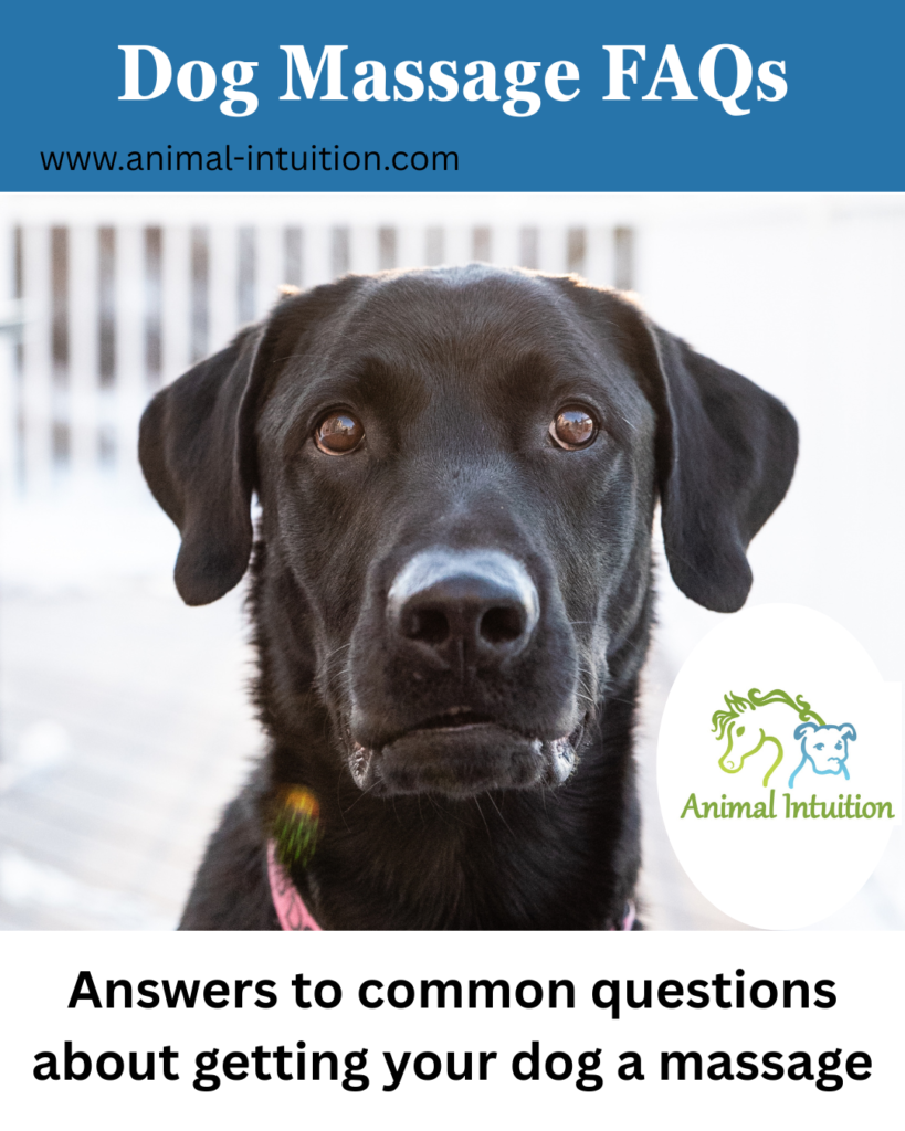 Dog Massage FAQs